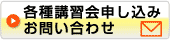 䤤碌